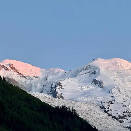 Cocon Alpin Centre Et Vue * Σαμονί